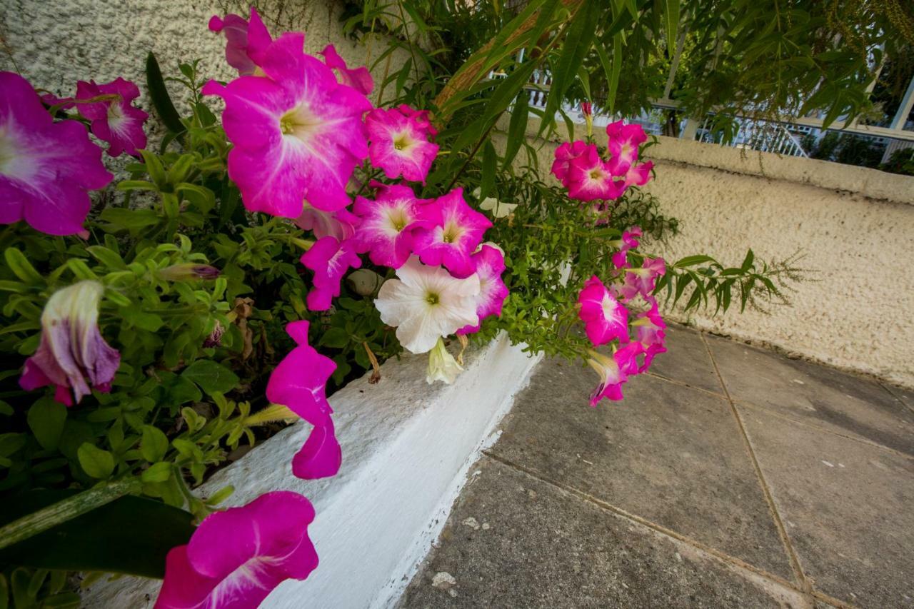 Villa Marietta'S Townhouse Argostoli  Exterior foto